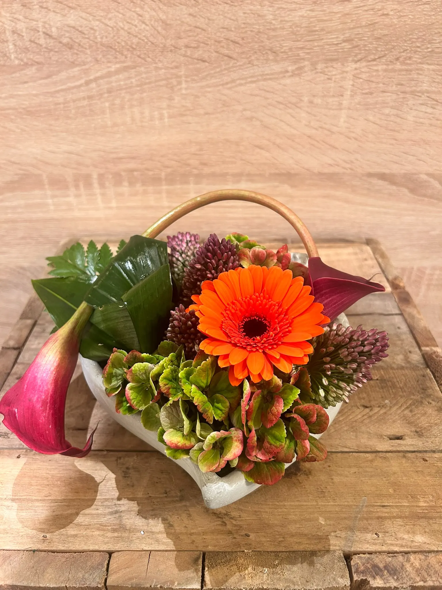 Beeld uit het project van Bloemen Iris