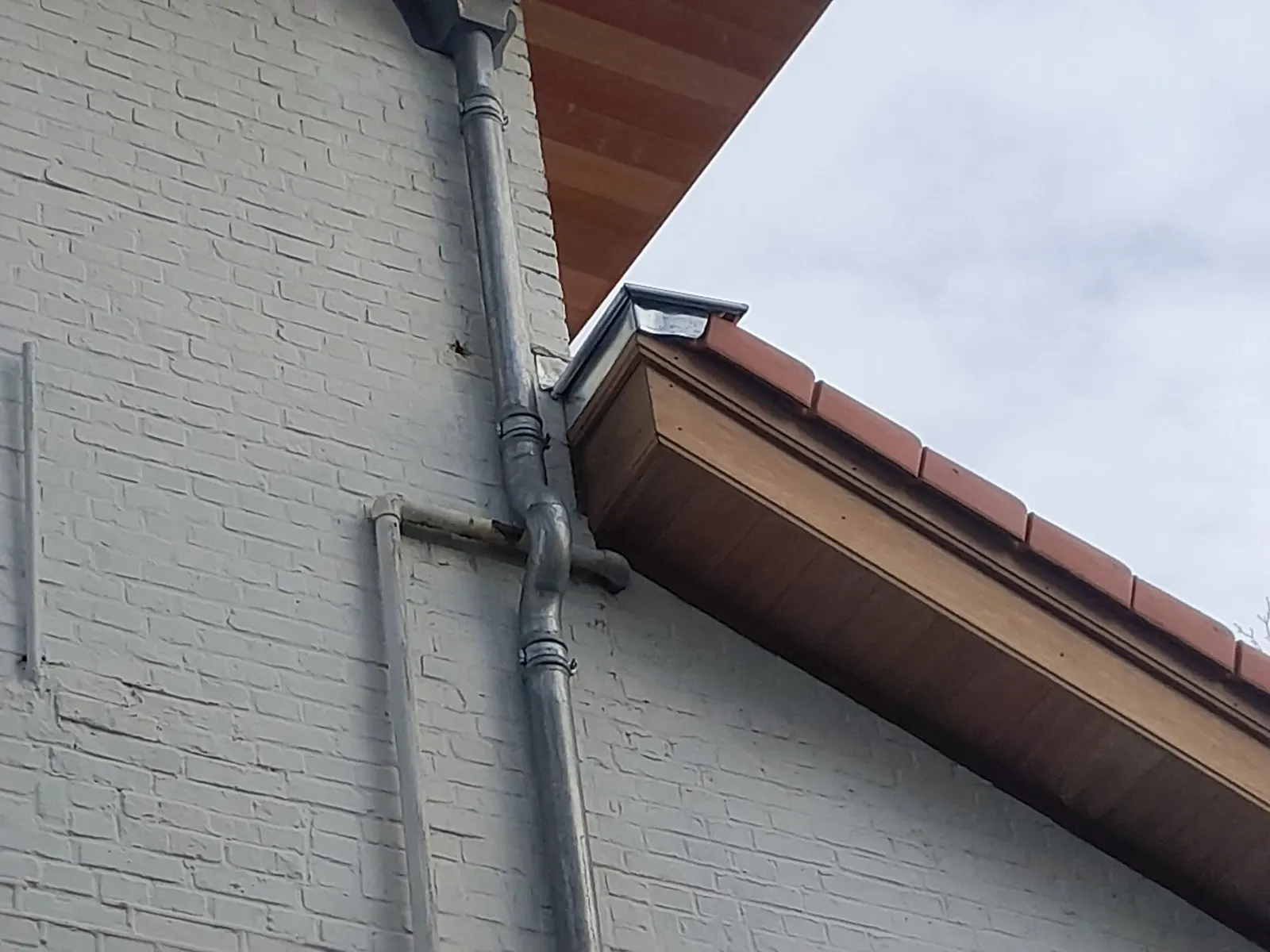 Beeld uit het project van HartDak